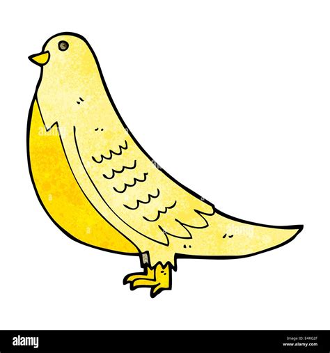 Aves De Dibujos Animados Imagen Vector De Stock Alamy