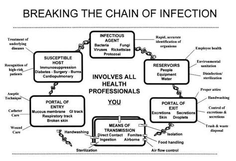 Breaking The Chain Of Infection Chain Of Infection Infection Control