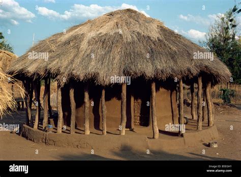 Typical House In Village Zambia Africa Stock Photo Alamy