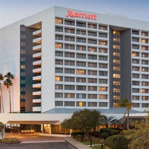 Marriott Tampa Westshore Artofit