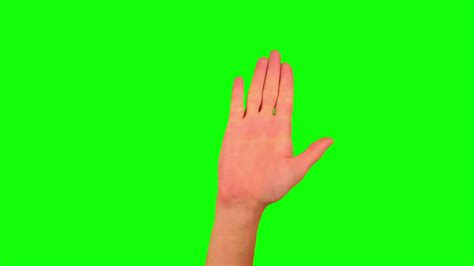 Gesture Stop Hand Green Screen Stock Footage Sbv 322521248 Storyblocks