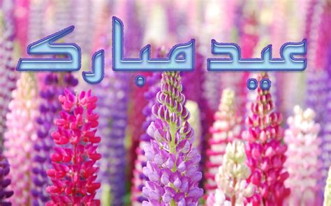 May beautiful flowers keep you in smiling frame of happiness on eid day. wallpaper proslut: Flowers Eid Mubarak 2012 Cards ...