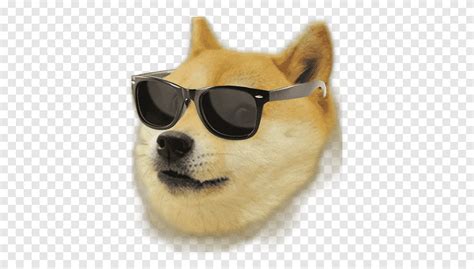 Doge Meme With Sunglasses