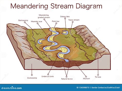 Vector Illustration Of A Meandering Stream Stock Vector Illustration