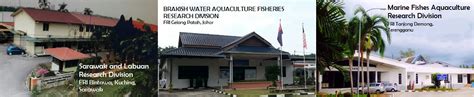 If you want a sneak preview of malaysia's rainforest, this is the place! Fisheries Research Institute Malaysia