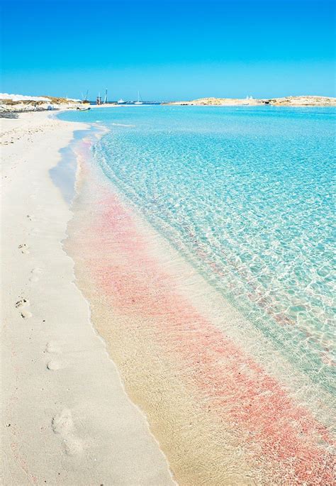 The Most Beautiful Pink Sand Beaches In The World Beaches In The