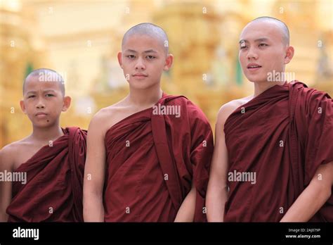 Young Buddhist Monks In Myanmar Stock Photo Alamy