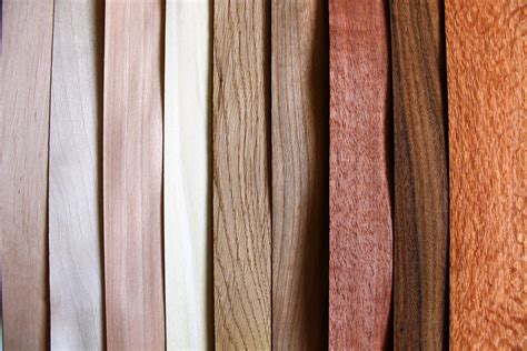 How Veneer Door Designs Add A Touch Of Class To Any Home Au Listings
