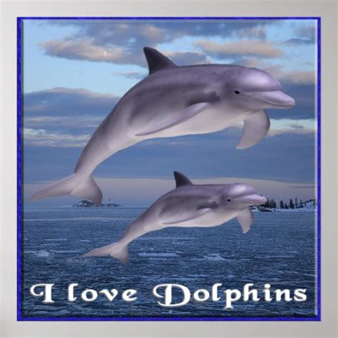 I Love Dolphins Poster Zazzle