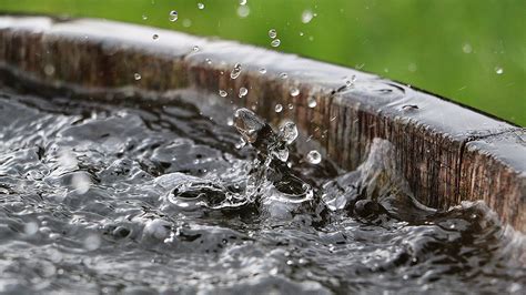 Rainwater harvesting is the utilization of scientific techniques to collect and store rainfall. Rainwater Harvesting: Why and How - Shop-O-Rama