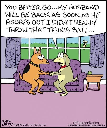 Dog Humor Dog Jokes Funny Cartoon Pictures Funny Dog Jokes
