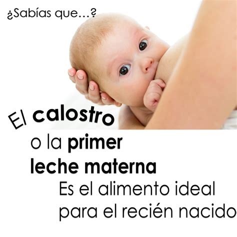 Es aconsejable amamantar a los bebés de forma exclusiva hasta los 6 meses y luego continuar la lactancia hasta los dos años o más, con el agregado de alimentos. NutriMom: Los beneficios de la lactancia materna