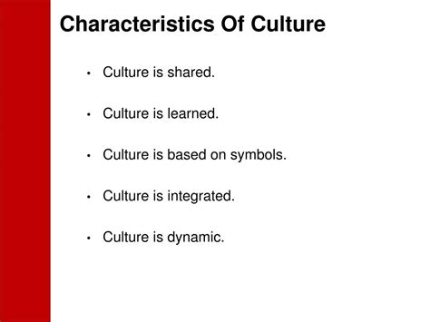 Definition Of Culture