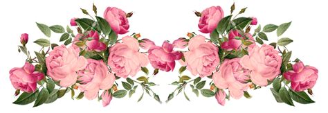 Flowers Borders Png Transparent Flowers Borderspng Images Pluspng
