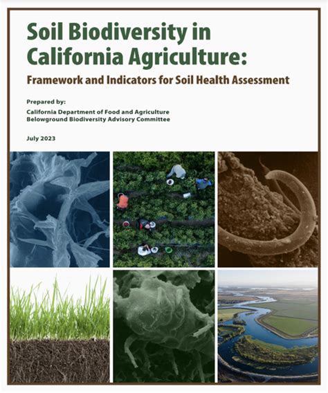 Defining Healthy Soils Soil Health And Carbon Strategies Oacd