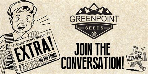 Here you will find information about marijuana seed breeders and seedbanks to help you buy marijuana seeds safely. Greenpoint Seeds | Buy Cannabis Seeds Online - USA Seed Bank