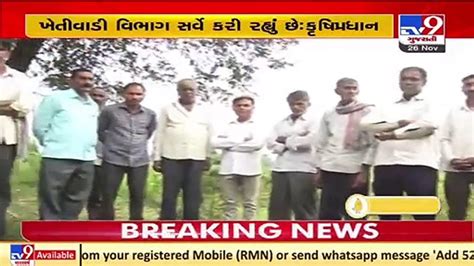 gujarat agricutlure minister raghavji patel denies any loss to crops due to unseaonal rain