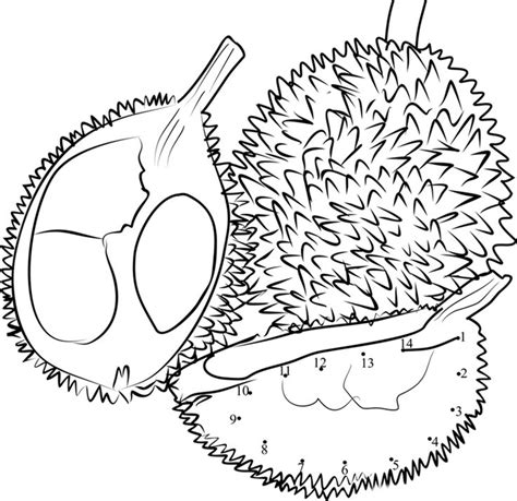 gambar buah durian  diwarnai durian symbols dots