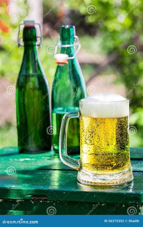 Fresh Lager Beer In Sunny Day Stock Photo Image Of Summer Beer 56375352
