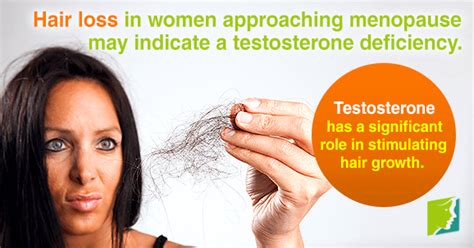 A stable and optimized endocrine system, consisting of optimized testosterone and other hormones nicely functioning in harmony with one another, is most likely not contributing to hair loss. Does Testosterone Deficiency Cause Hair Loss? | Menopause Now