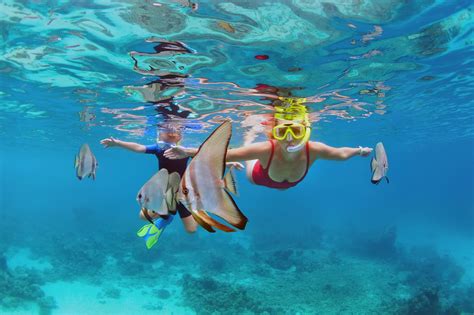 Snorkeling In Boracay A Guide To Boracays Best Snorkeling Spots Go