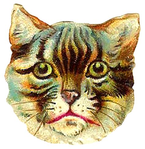 Clipart Cat Tabby Clipart Cat Tabby Transparent Free For Download On