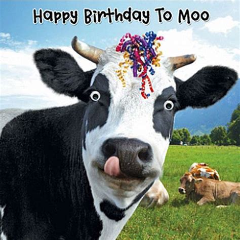 Funny Cow And Streamers Birthday Card Happy Birthday To Moo 3d Goggly