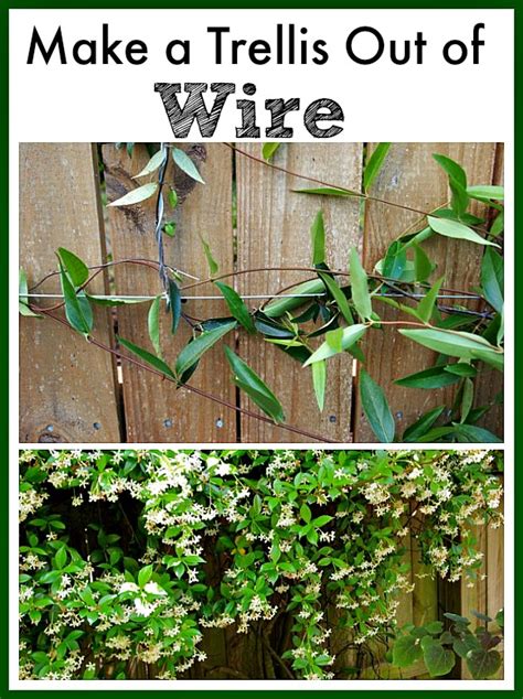 They are often used for privacy and are often made out of wood or metal. DIY Trellis - Make A Trellis Out of Wire#diy #trellis #wire in 2020 | Diy trellis, Wire trellis ...