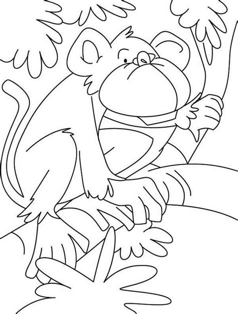 Pin By Colornimbus On Monkey Coloring Pages Tree Coloring Page