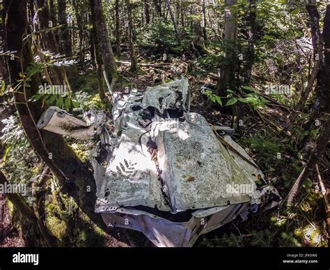 Old Plane Crash Slowly Dissolves In The Forest Stock Photo Alamy