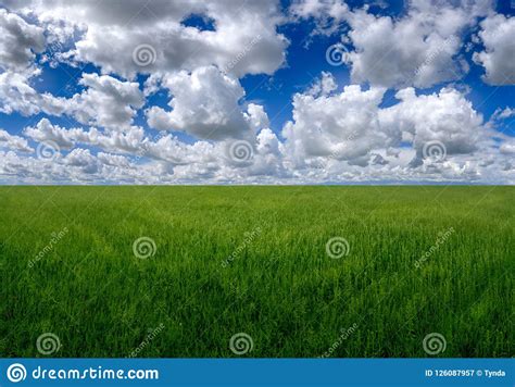 Green Grass Field On Big Hills And Blue Sky With Clouds Stock Image