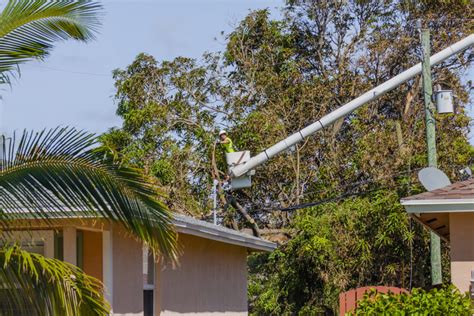 Hurricane deductibles are separate from your home insurance deductible and often paid in percentages, typically ranging between 1% to 5% of the insured value of the structure of your home. Hurricane Damage Claims | Todd Claim Service