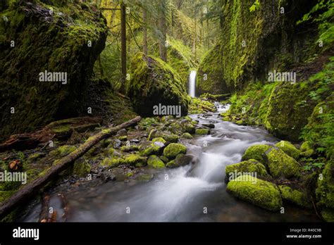 Mossy Grotto Falls Hi Res Stock Photography And Images Alamy