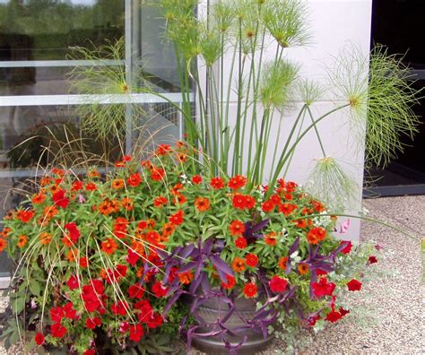 Container Garden Field Outdoor Spaces Flickr