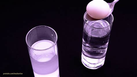 Egg Floating In Salt Water Science Experiment Youtube