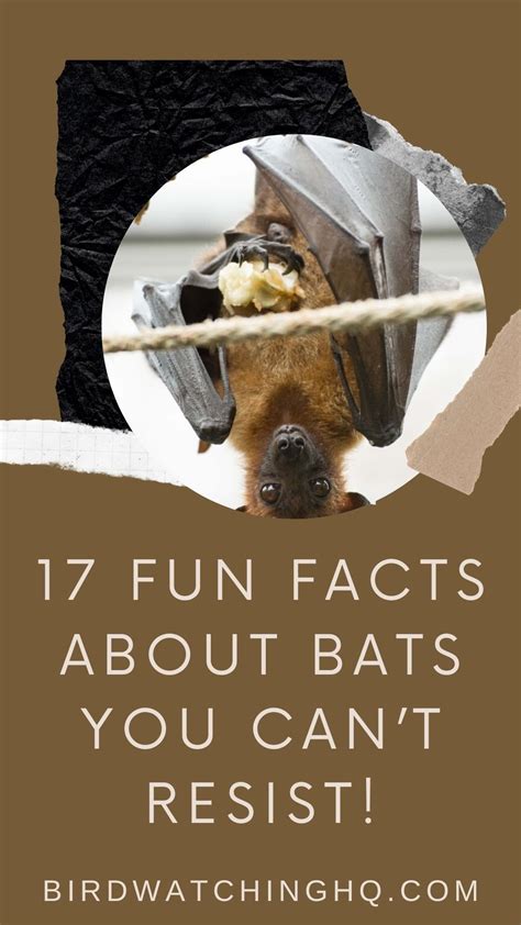 Fun Facts About Animals Animal Facts Bumblebee Bat All About Bats