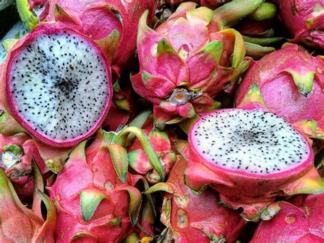 When cooked, it takes on the. 10 Unusual Fruits That You Should Be Eating - Society19