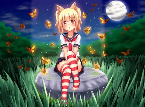 Hd Wallpaper Anime Girl Animal Ears Blonde Butterfly Moon Night