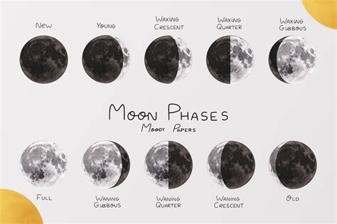 Moon Phases Board Etsy