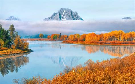 Usa Wyoming Grand Teton National Park Trees Fog Autumn Wallpaper