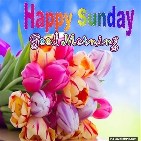 Colorful Sunday Good Morning Flowers Quotes Pinterest Beautiful
