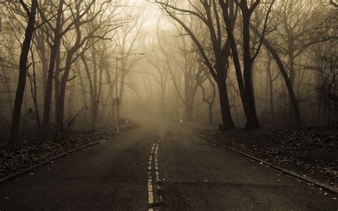 Landscapes Nature Roads Trees Forest Fog Mist Haze Dark Spooky Autumn