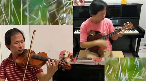 Quavo), circles, motley crew, sunflower (feat. Circles - Post Malone | Country Style | Violin and Ukulele ...