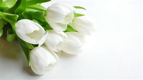 51 Wallpaper White With Flowers Gambar Download Postsid