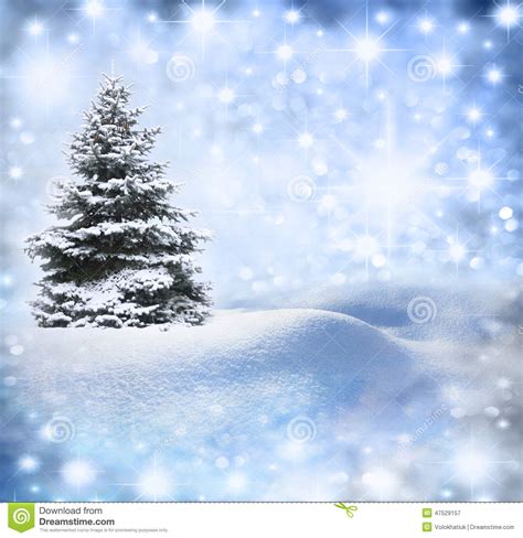 Christmas Tree In Snow Stock Image Image Of Frozen Bare 47529157