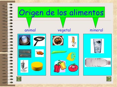 3 Ejemplos De Alimentos De Origen Mineral Imagui