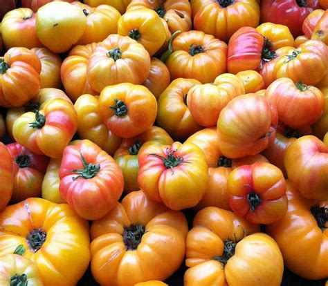 Tomato Mr Stripey 25 Heirloom Non Gmo Seeds Patio