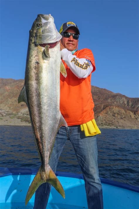 Isla De Cedros En Baja California Paraíso De La Pesca Deportiva Y