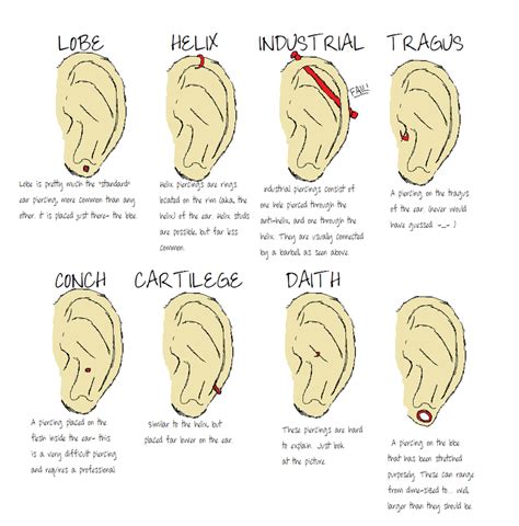 Ear Piercing Types By Xgrinningmalicex On Deviantart