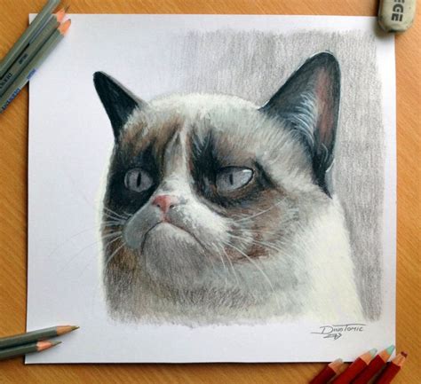 30 Beautiful Cat Drawings Best Color Pencil Drawings And Paintings